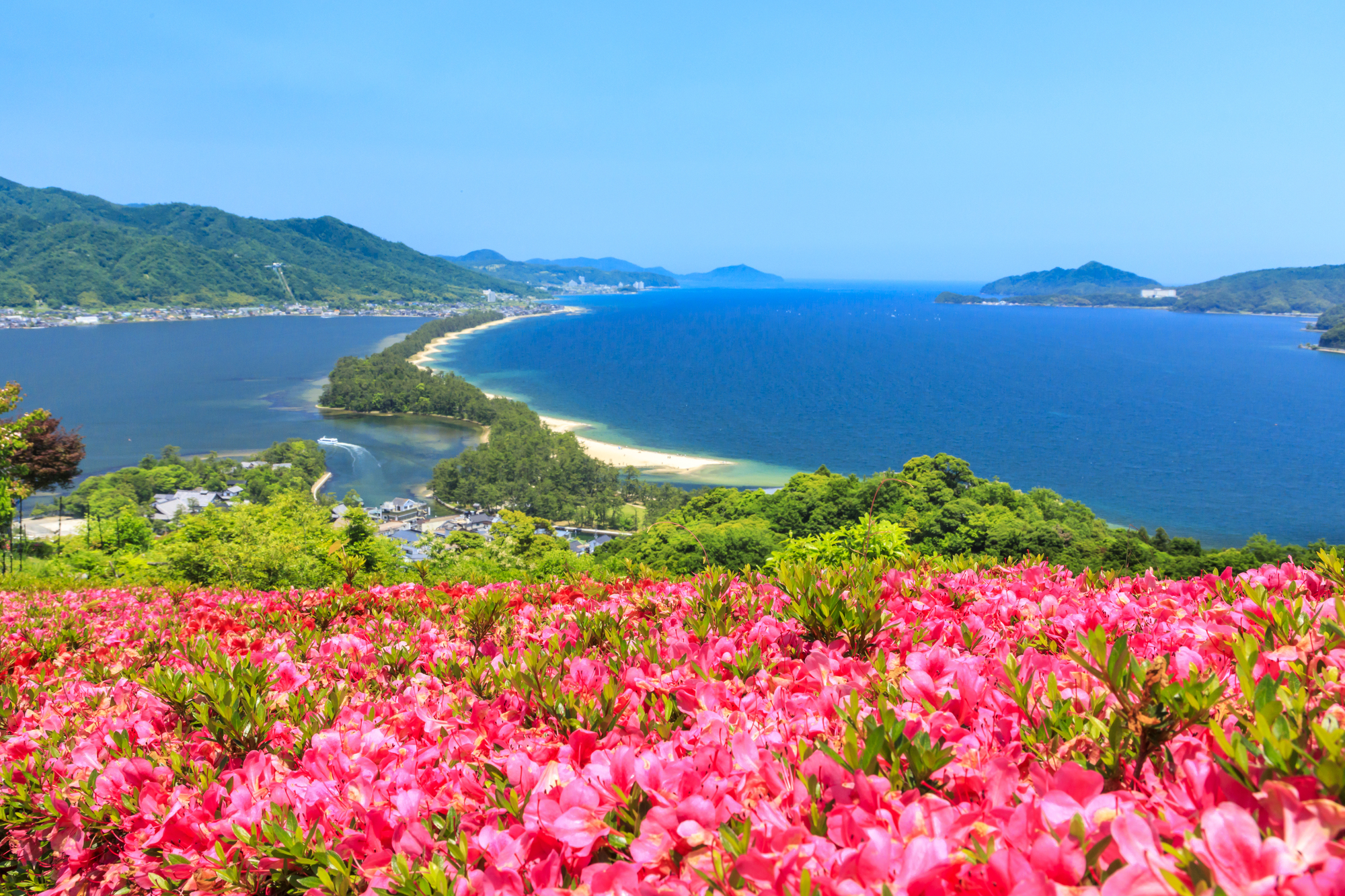 Osaka Dep. [A] Amanohashidate and Ine Cruise Day Tour(With Lunch coupon&Tickets)